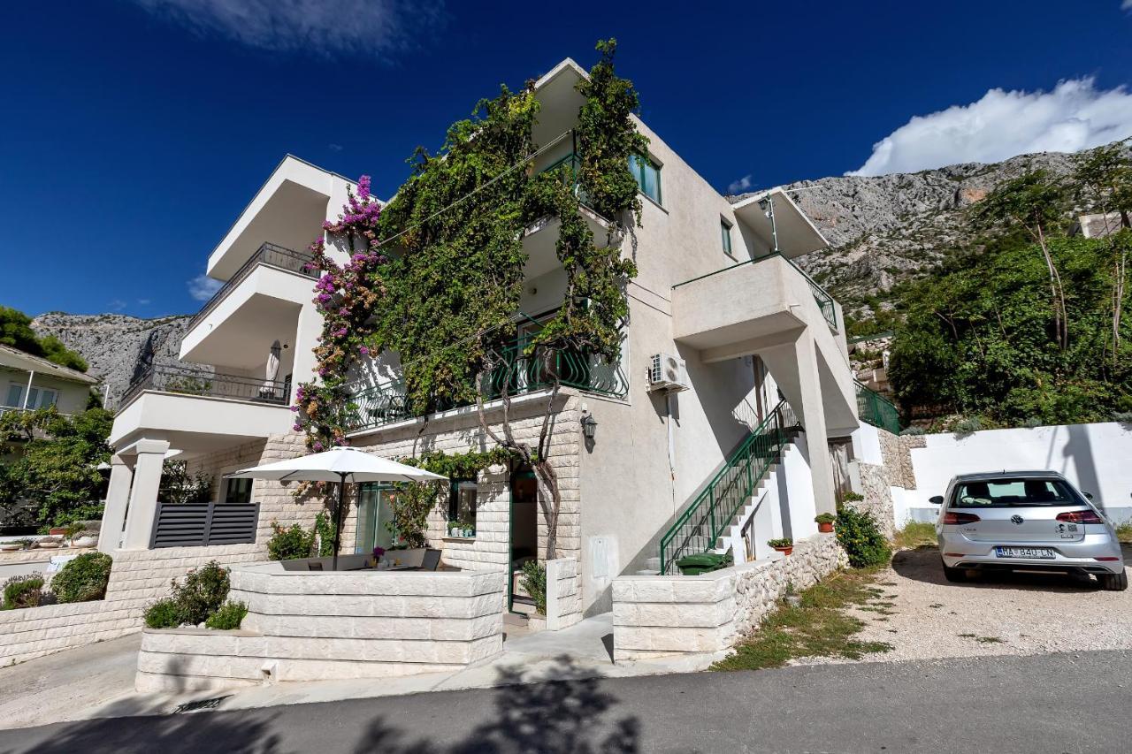Apartmani Antonela ドラスニセ エクステリア 写真