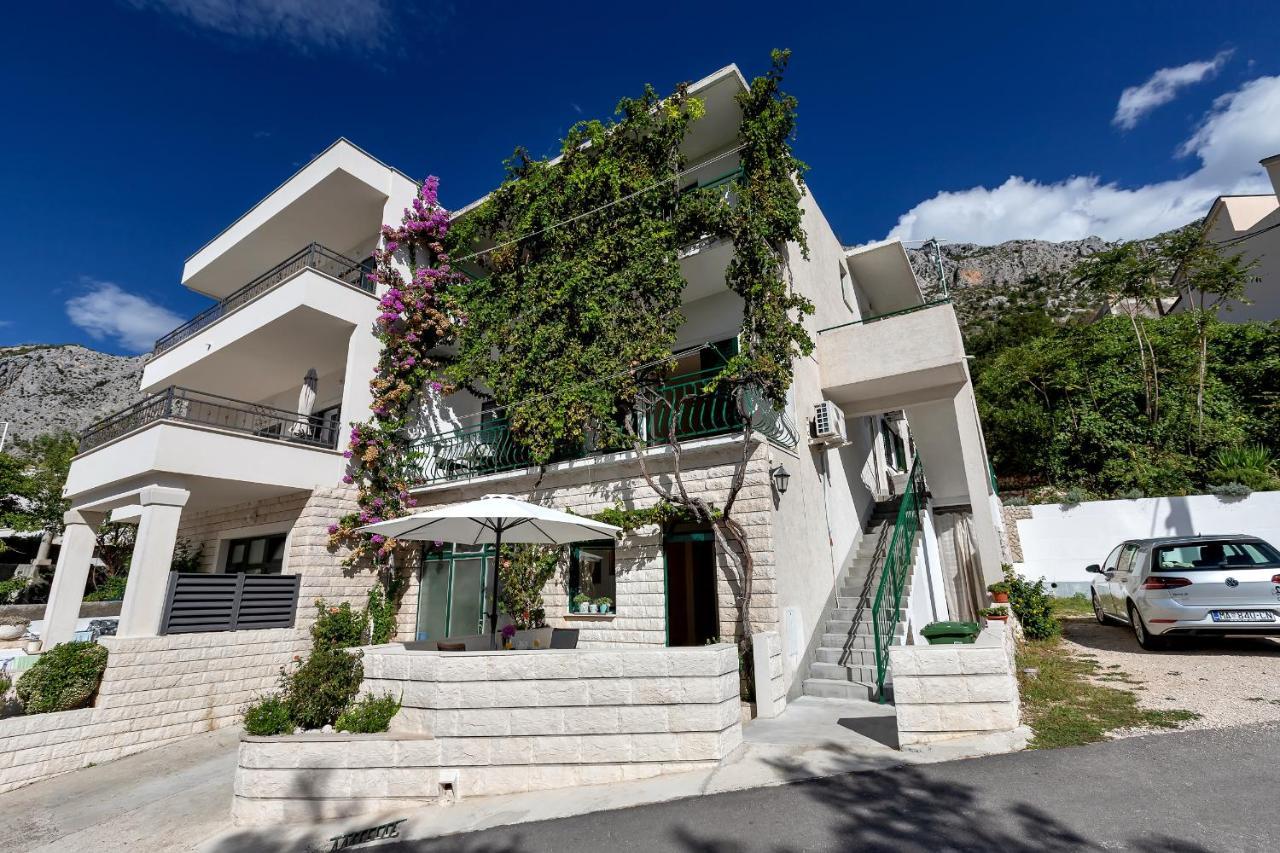 Apartmani Antonela ドラスニセ エクステリア 写真